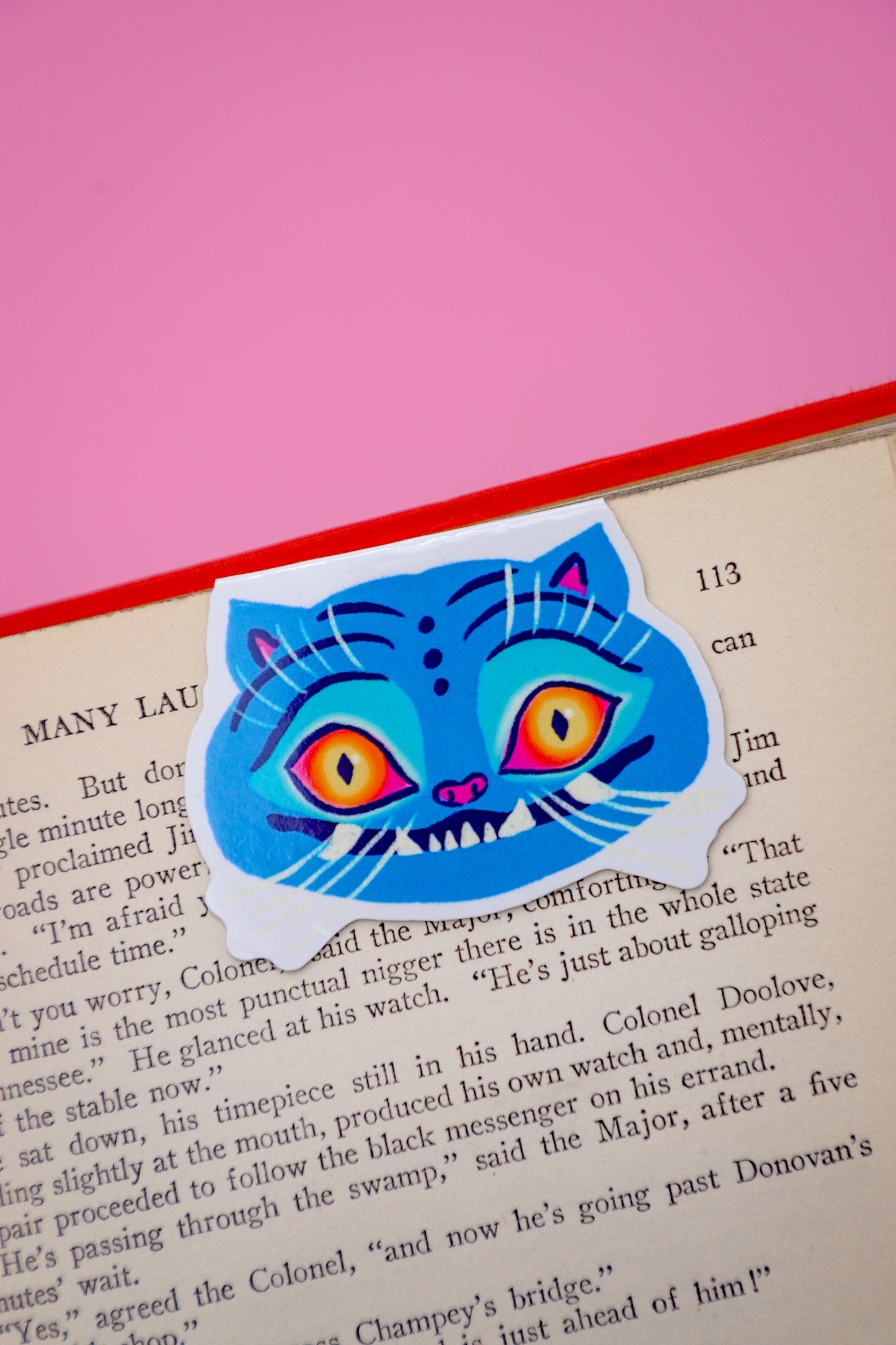 Derpy Magnetic Bookmark