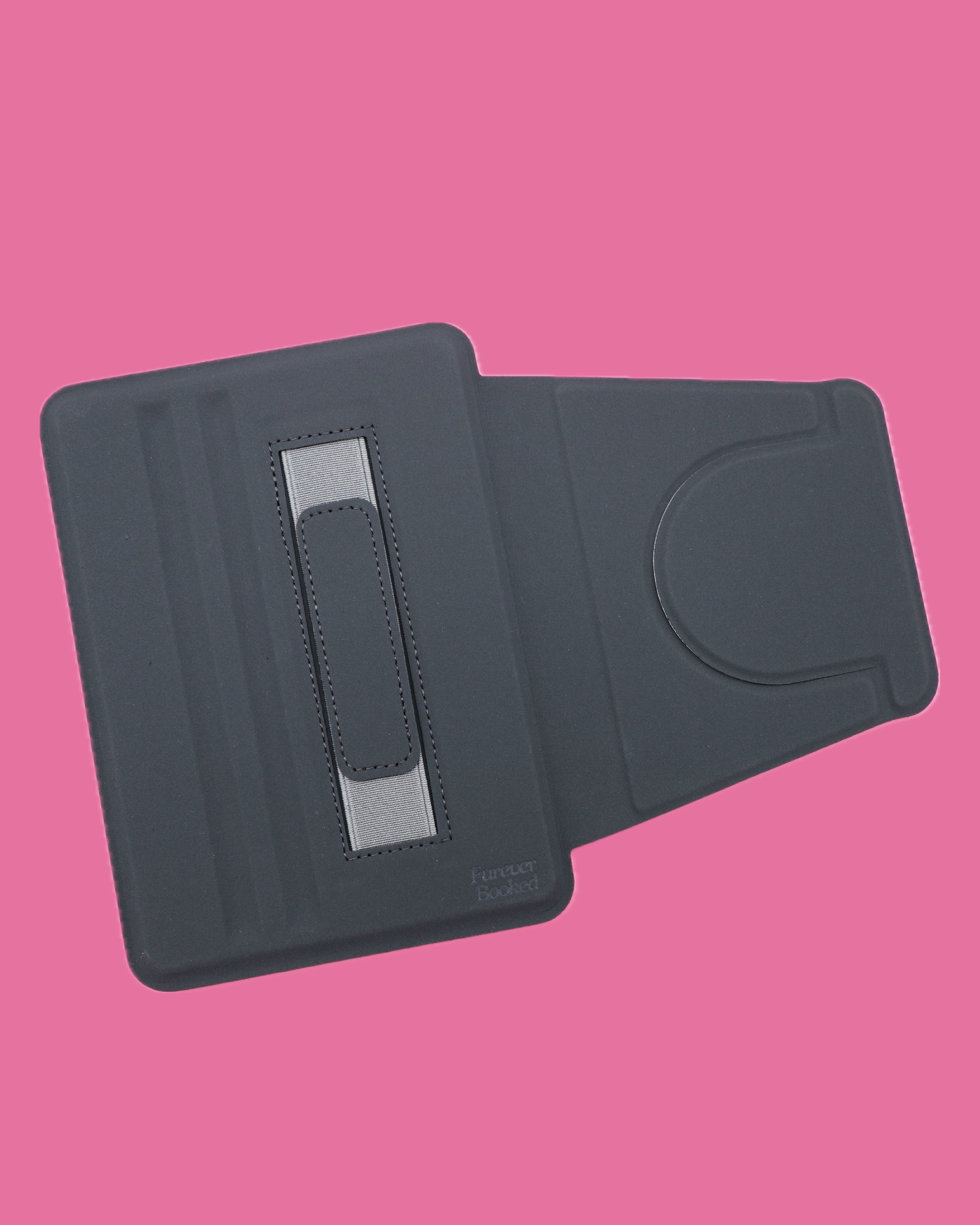 Silly Goose On The Loose Detachable Kindle Case Cover Only